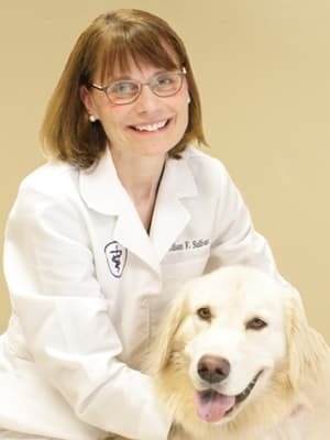 Family 2024 pet veterinary